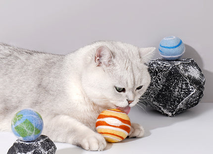 Planet Funny Bitten Catnip Ball Playset