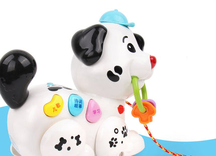Dog early education haul toy