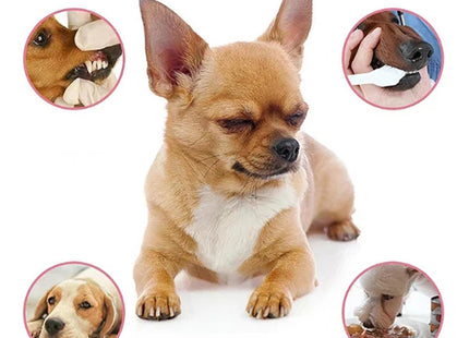 Pet supplies antibacterial dog oral deodorant