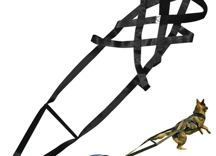Dog training supplies Dog supplies Leashes Chest straps