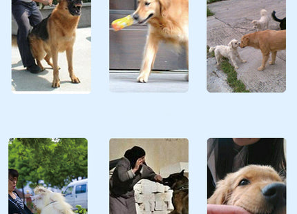 Rechargeable Remote Control Dog Training Device Pet Supplies Rechargeable Bark Stopper