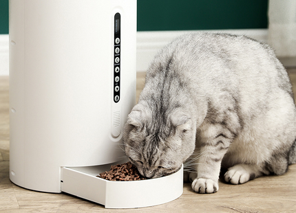 Pet Smart Feeder Pet Supplies Timing
