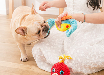 Dog Toy Plush Resistant To Biting Teeth And Making Noise
