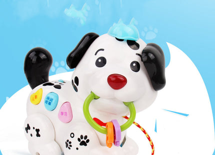 Dog early education haul toy