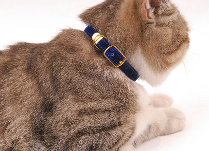 Pet supplies cat collar