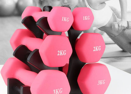 Fitness dumbbell rack