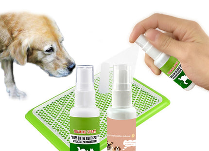 Pet Potty Training Spray