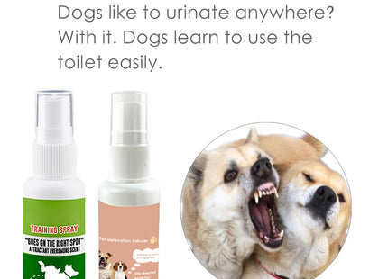 Pet Potty Training Spray