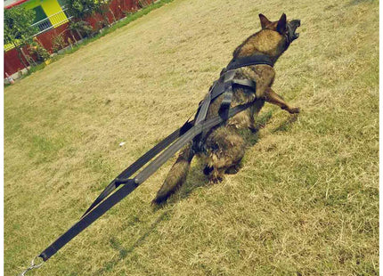Dog training supplies Dog supplies Leashes Chest straps