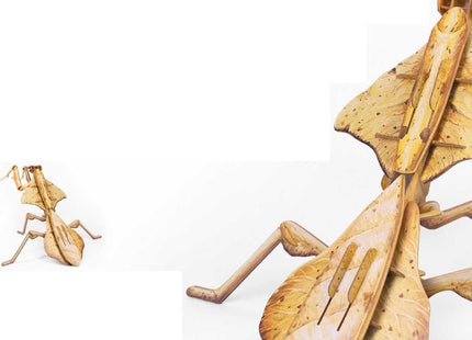 New Fashionable Insect Model Toys