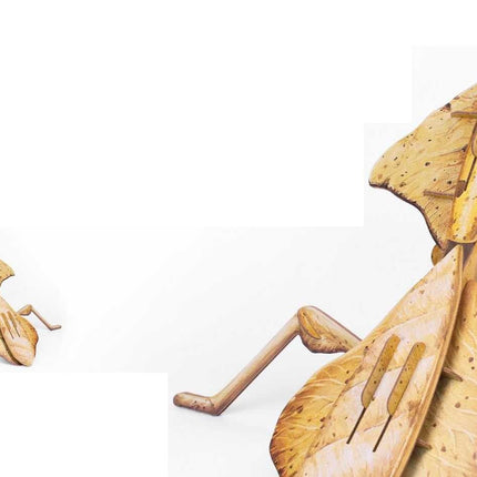 New Fashionable Insect Model Toys