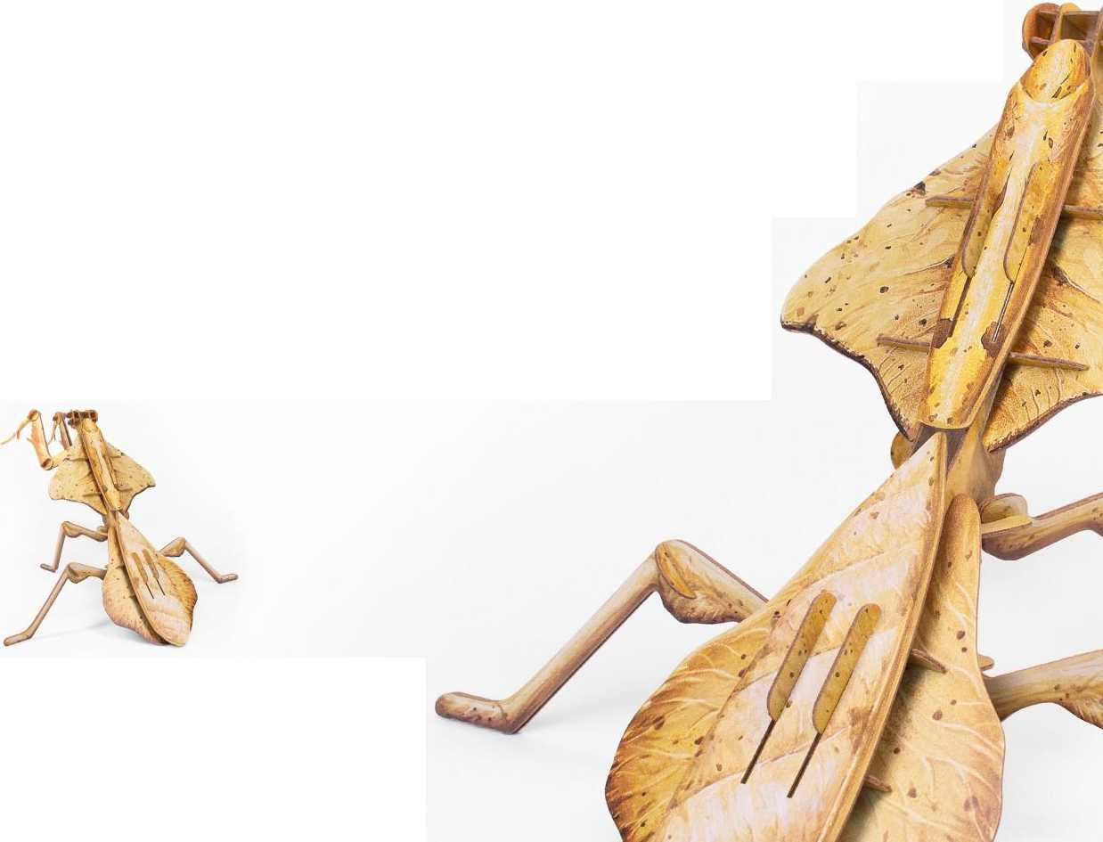 New Fashionable Insect Model Toys