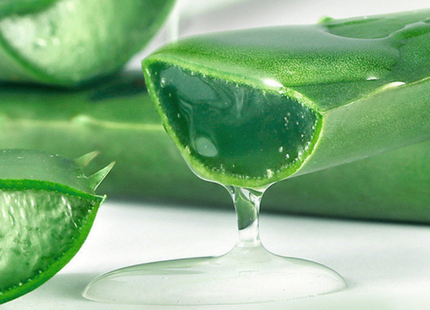 Aloe Gel Skin Care Moisturizing Face Cream
