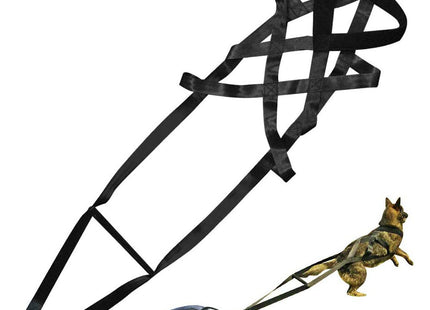 Dog training supplies Dog supplies Leashes Chest straps