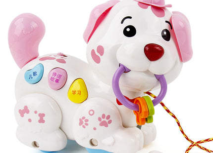 Dog early education haul toy