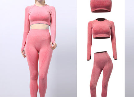 Seamless Yoga Wear Sports Suit Outdoor Fitness Vest Quick Dry Tight Sportswear Yoga Pants Women