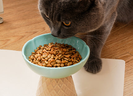 Neck Protecting Health Glaze Ceramic Pet Bowl