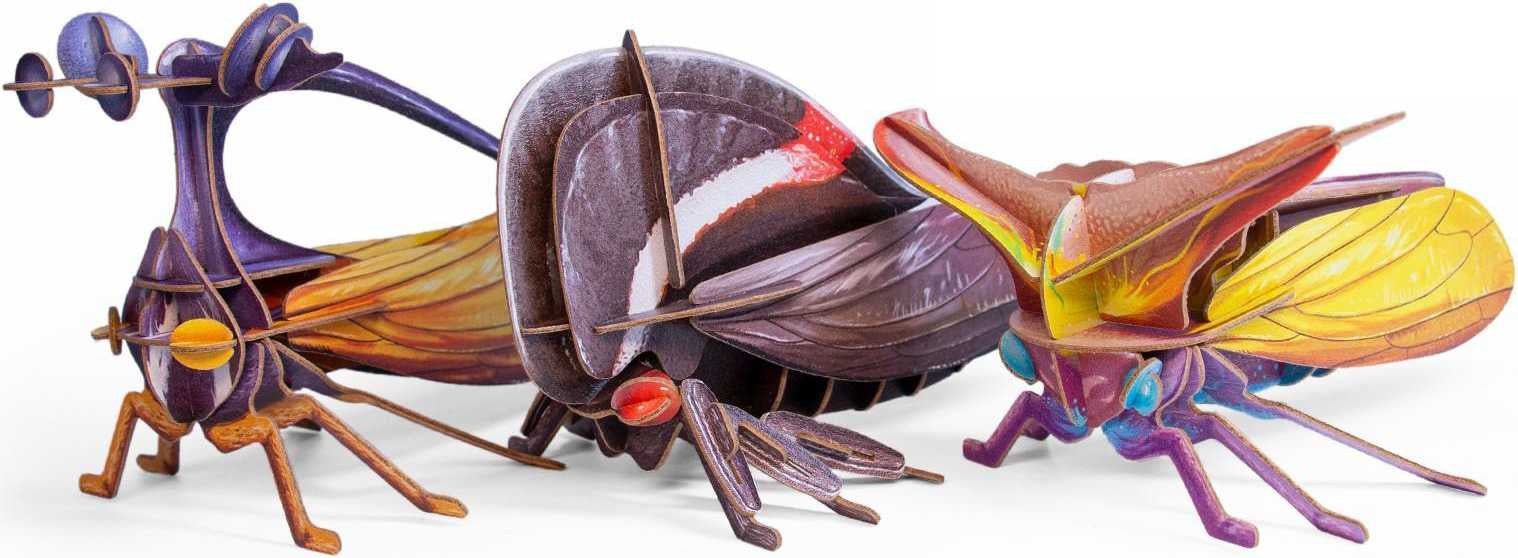 New Fashionable Insect Model Toys