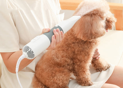Pet Electric Hair Pulling And Blowing Comb