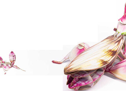 New Fashionable Insect Model Toys