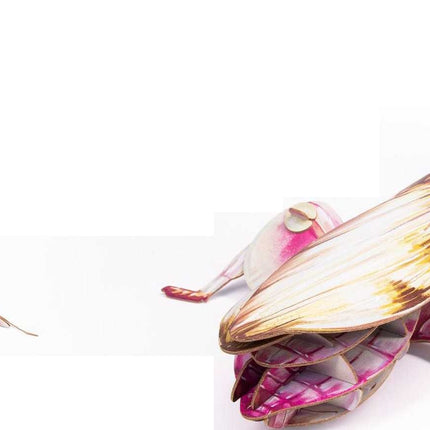 New Fashionable Insect Model Toys