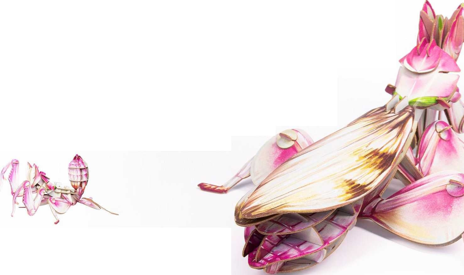 New Fashionable Insect Model Toys