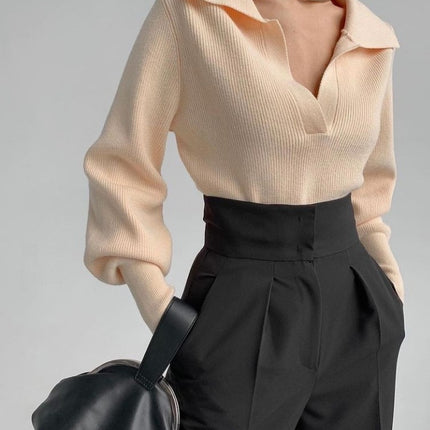 Paul Lapel Elegant Top Sweater
