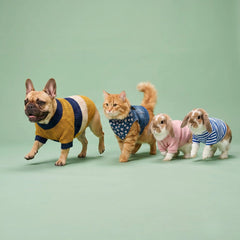 Three small pets wearing cozy knit pet sweaters and a bandana: a French bulldog in a yellow and navy sweater, an orange cat in a navy bandana, and two white rabbits in pink and blue striped outfits, posed against a solid sage green studio background.