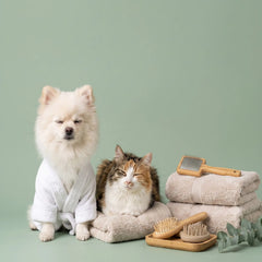 A small white dog wearing a white robe sits beside a fluffy brown-and-white cat resting on a towel, with folded towels, wooden-handled brushes, and a handheld mirror arranged on a pale green background.