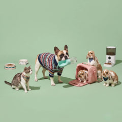 A dog, a cat and three bunny are posed in a studio setting with pet accessories, including bowls, a carrier, a bottle, and a feeder, against a solid pale green background.