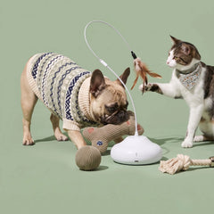 A dog in a beige and navy patterned sweater chews on a rope toy while a cat in a white and gray bandana plays with a feather toy attached to a white circular wand, set against a solid sage green background.