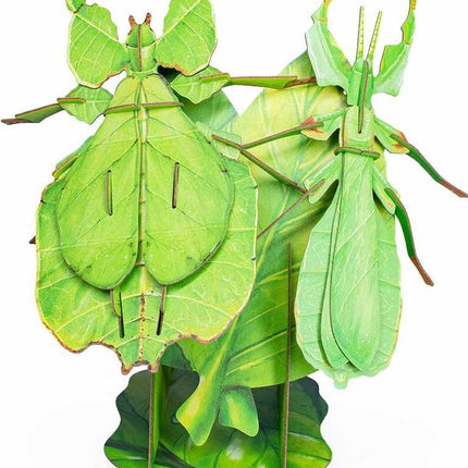 New Fashionable Insect Model Toys