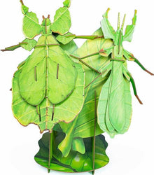 New Fashionable Insect Model Toys