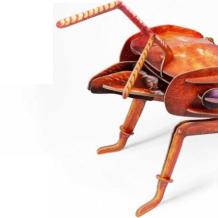 New Fashionable Insect Model Toys