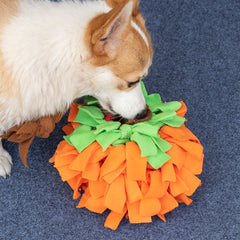 Collection image for: Pet Clothing