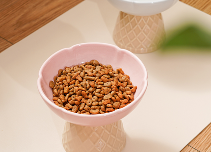 Neck Protecting Health Glaze Ceramic Pet Bowl