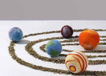 Planet Funny Bitten Catnip Ball Playset