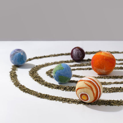 Planet Funny Bitten Catnip Ball Playset