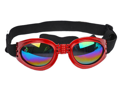 Pet Dog, Cat, Sunglasses, Glasses, Sun Glasses, Big Dog, Sun Visor, Pet Dog, Sunglasses