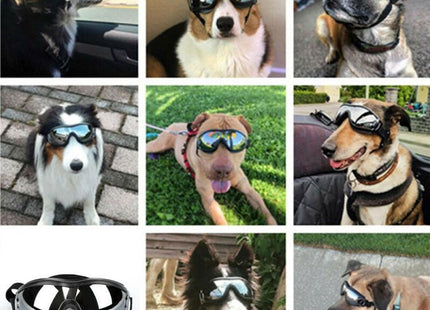 Pet Dog Glasses Concave Shape Waterproof UV Protection