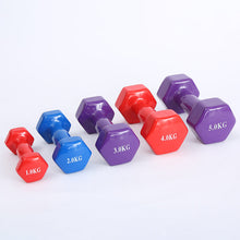 Neoprene-coated Dumbbell Set