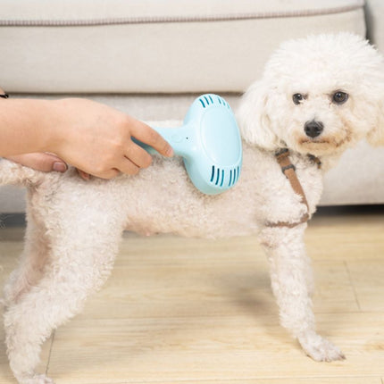Cat hair cleaner combing cat to remove floating hair
