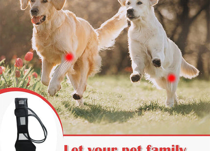 Dog Leg Injury Support Knee Pad