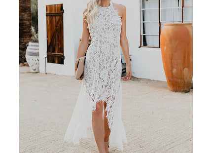Elegant Solid Lace Cutout Dress  Back Dress