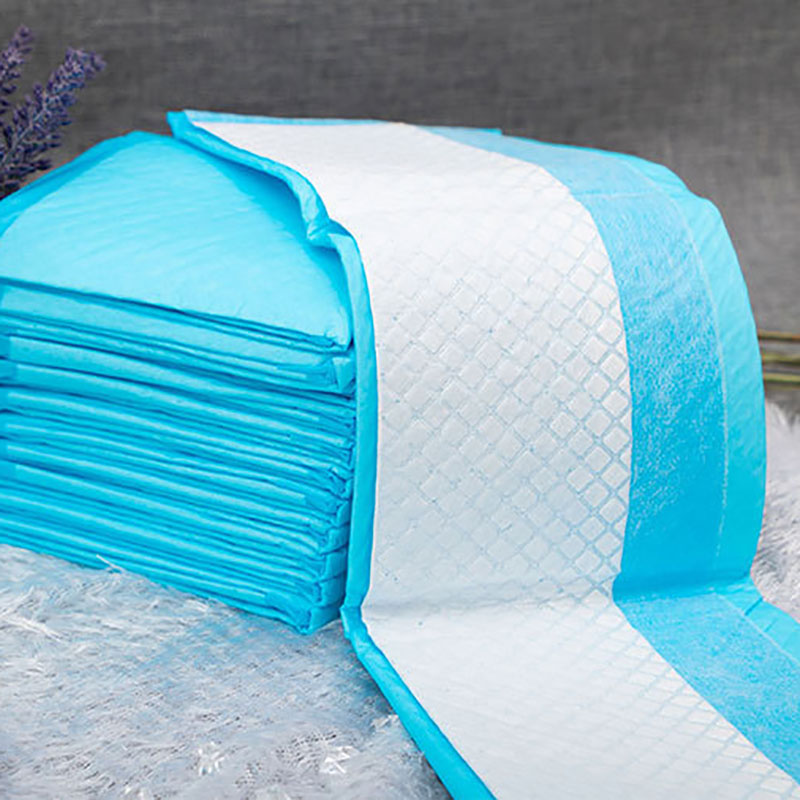 Productos para mascotas absorbentes: empapadores desechables