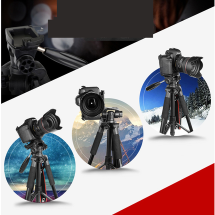 Tripod SLR Camera Live Mobile Phone Holder