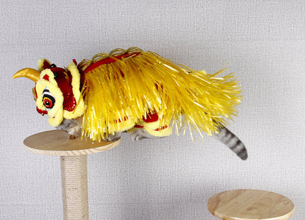 Pet Costume Jizai Pet Supplies Little Lion Clothes