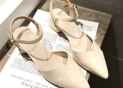 Summer Baotou Sandals Female Fairy Wind Heel Single Shoes Pointed Toe Women's Shoes
