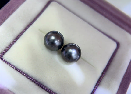 Fashion Sea Pearls Stud Earrings
