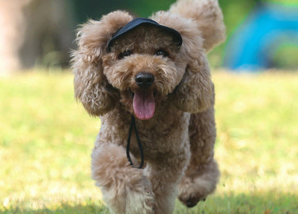 Pet Supplies Dog Cat Cap Baseball